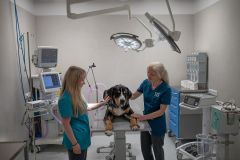 Investiční fond Vetfund otevírá nejmodernější veterinární kliniku v ČR