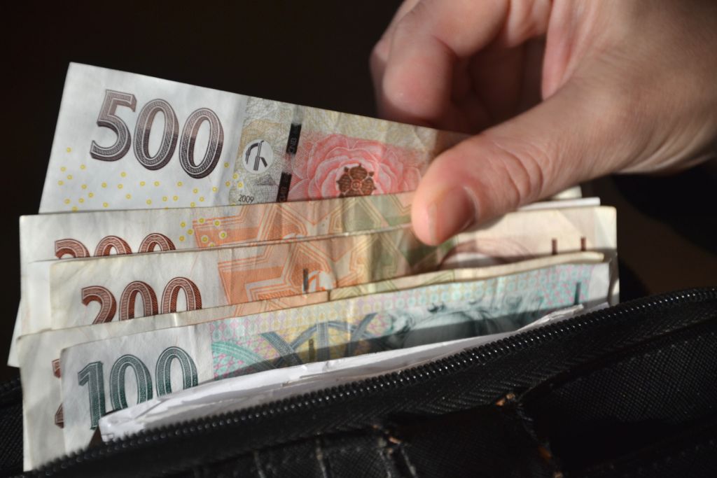 Jana Steckerová: Regionální měny lehce ztrácely