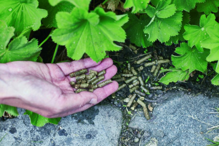 Peletizovaný kompost pomůže hnojit efektivněji