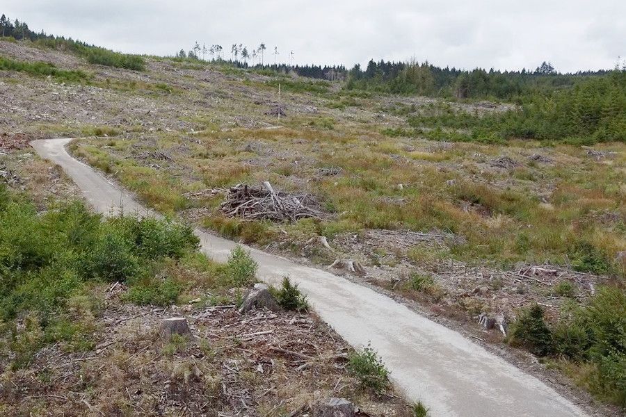Lesy ČR budují a opravují lesní cesty poškozené během kalamity