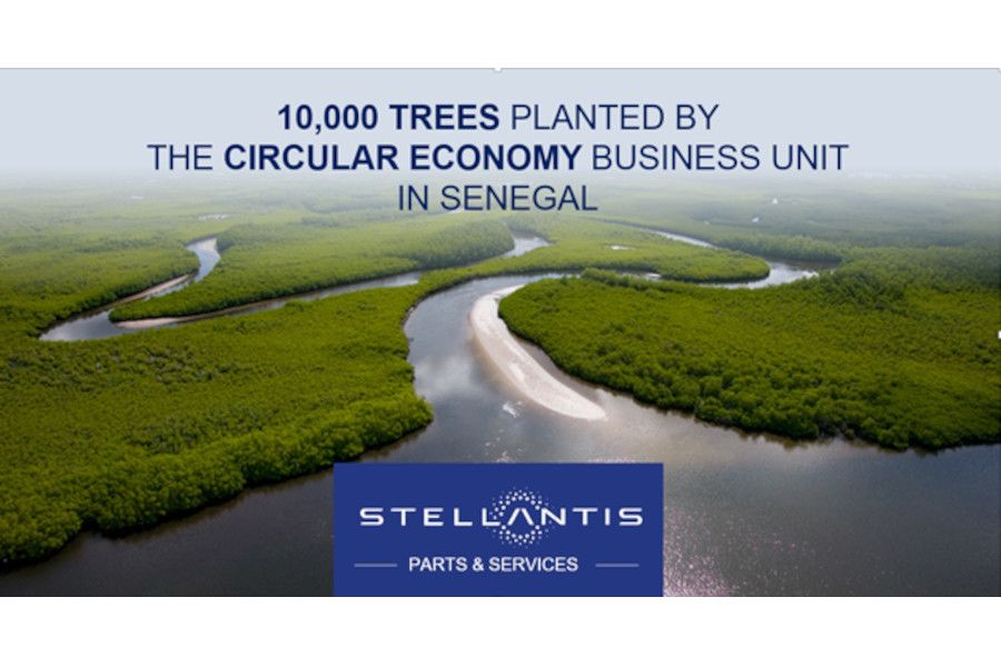 Obchodní jednotka Circular Econony skupiny Stellantis vysadila v Senegalu 10 000 stromů