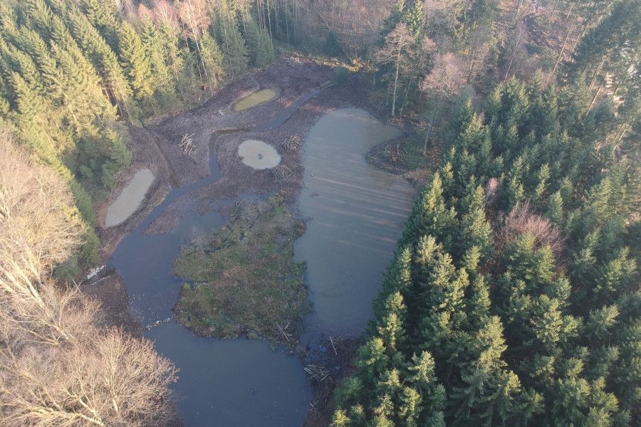 Lesy ČR loni vybudovaly a obnovily 150 vodních nádrží, tůní a mokřadů