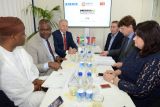 Firma ŽĎAS se hodlá podílet na výstavbě plynové elektrárny v Nigérii
