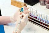 Laboratoře Nemocnice Valašské Meziříčí obhájily při náročném auditu akreditaci