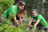 Zaměstnanci ŠKODA AUTO opět pomáhali českým lesům