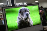 Samsung spouští prodej televizorů QLED s 8K rozlišením