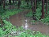 Zádolský potok a jeho levostranný přítok se vrátily do přírodních meandrů
