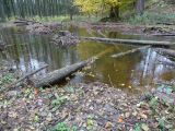 Zádolský potok a jeho levostranný přítok se vrátily do přírodních meandrů