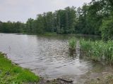 Lesy ČR obnovily velký mokřad na Hodonínsku