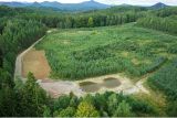 Lesy ČR a DIAMO se dohodly na převodu pozemků po těžbě uranu