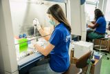Česká DIANA Biotechnologies dokončila validaci nových testů ze slin