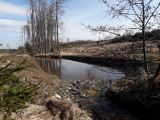 Lesy ČR: Pět nových tůní prospěje lesům na Bruntálsku