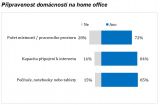 Home office: Většině Čechů nevyhovuje, i kvůli nedostatku prostoru