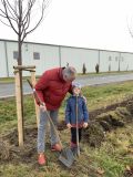 Zdravé plíce pro Mladoboleslavsko! Občané vysadili stovky nových stromů