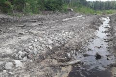 Lesy ČR budují a opravují lesní cesty poškozené během kalamity