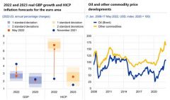 Zvýšený šok v oblasti cen komodit a energií zvýšil rizika vyšší inflace a slabšího růstu v eurozóně. (Zdroj: ecb.eu)